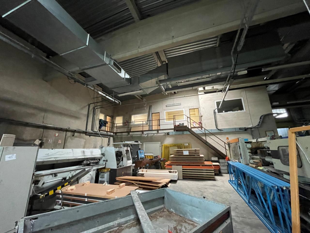 Local d'activité Otterswiller 39980m² Location local d'activité Otterswiller Bas-Rhin OLACT2425961 7